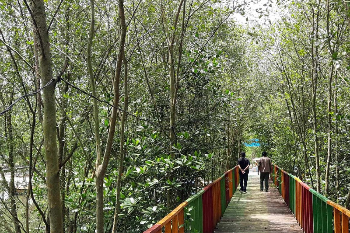 Mudik sekalian menikmati sensasi pantai di lintas timur Lampung