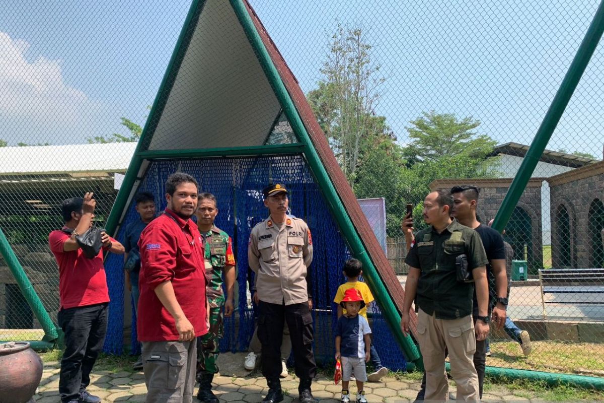 Semarang Zoo sambut pengunjung saat libur Lebaran dengan "Zooforia"