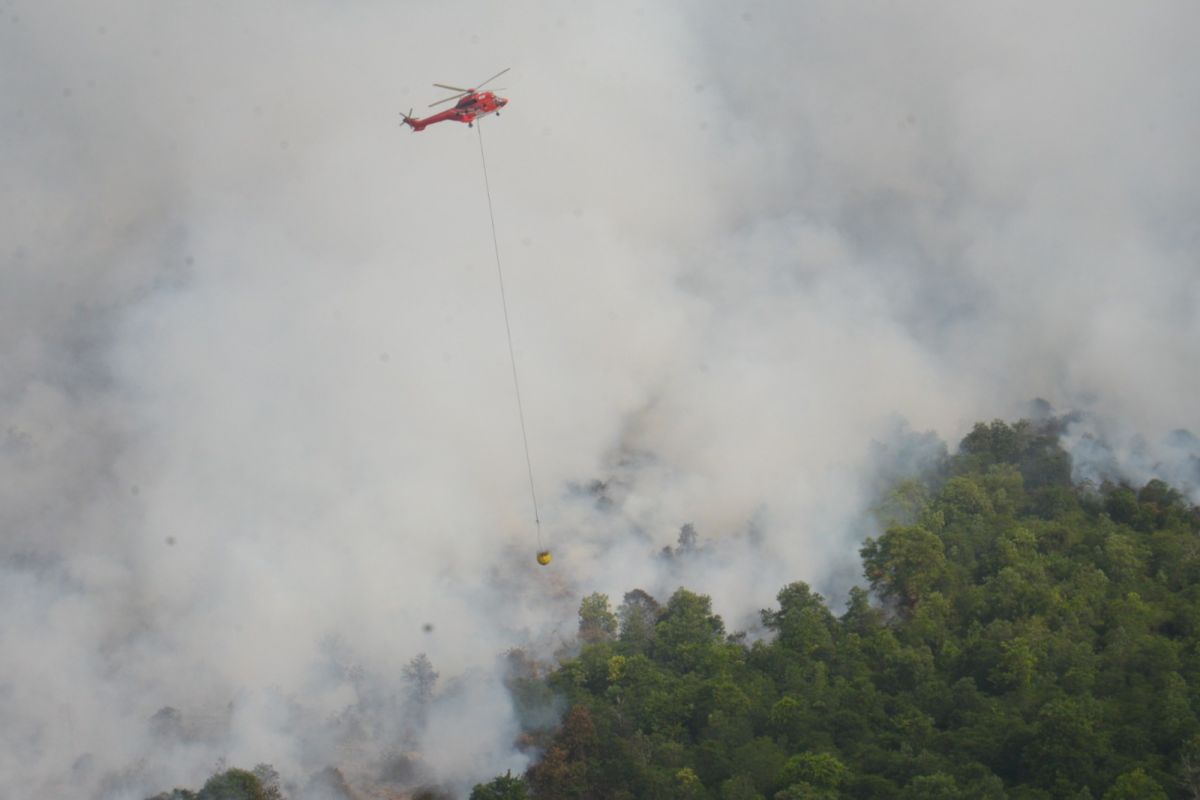 Karhutla belum padam, PT Arara Abadi kembali turunkan heli di perbatasan Bengkalis-Dumai