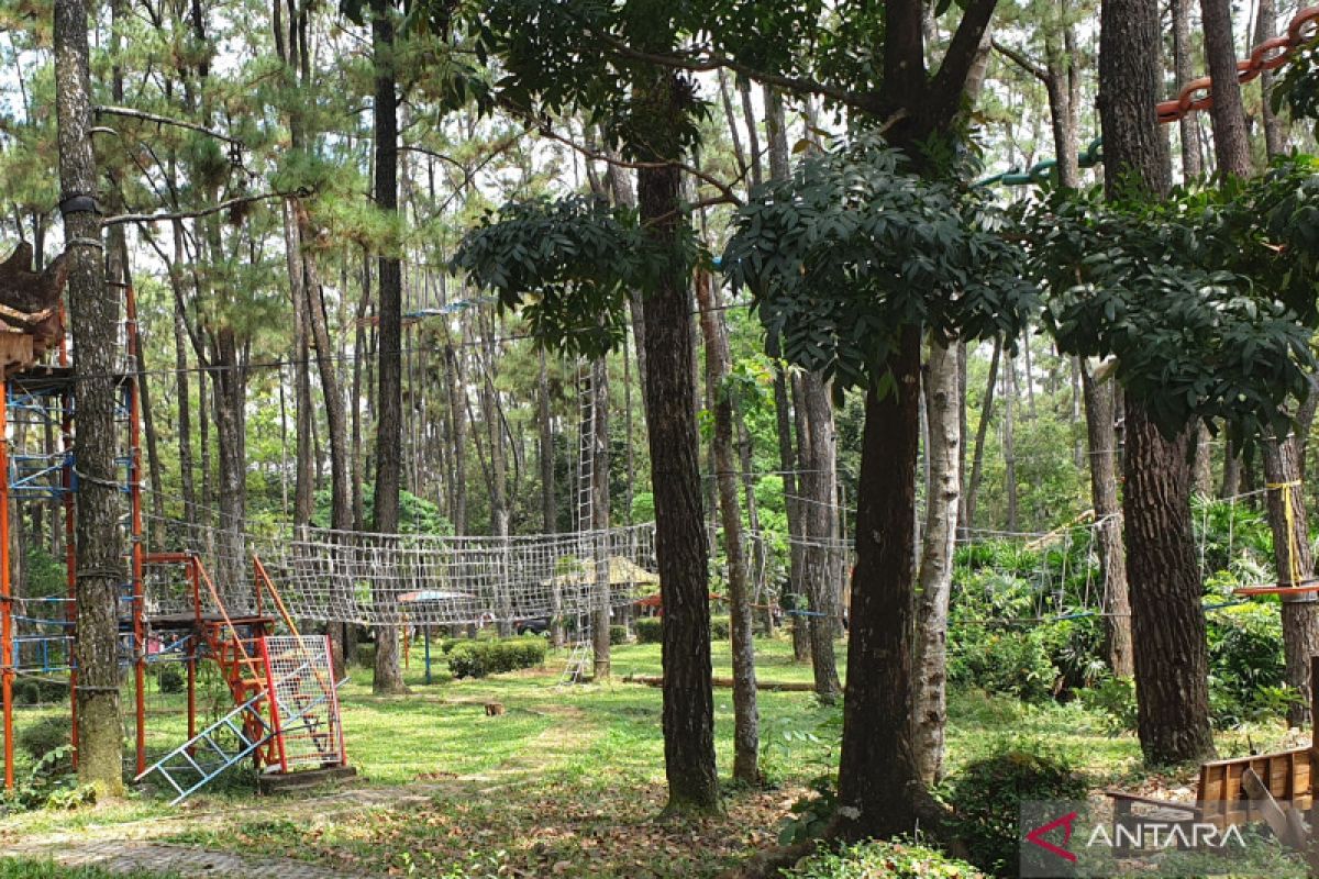 Wisata kawasan  hutan Punti Kayu Palembang masih ramai