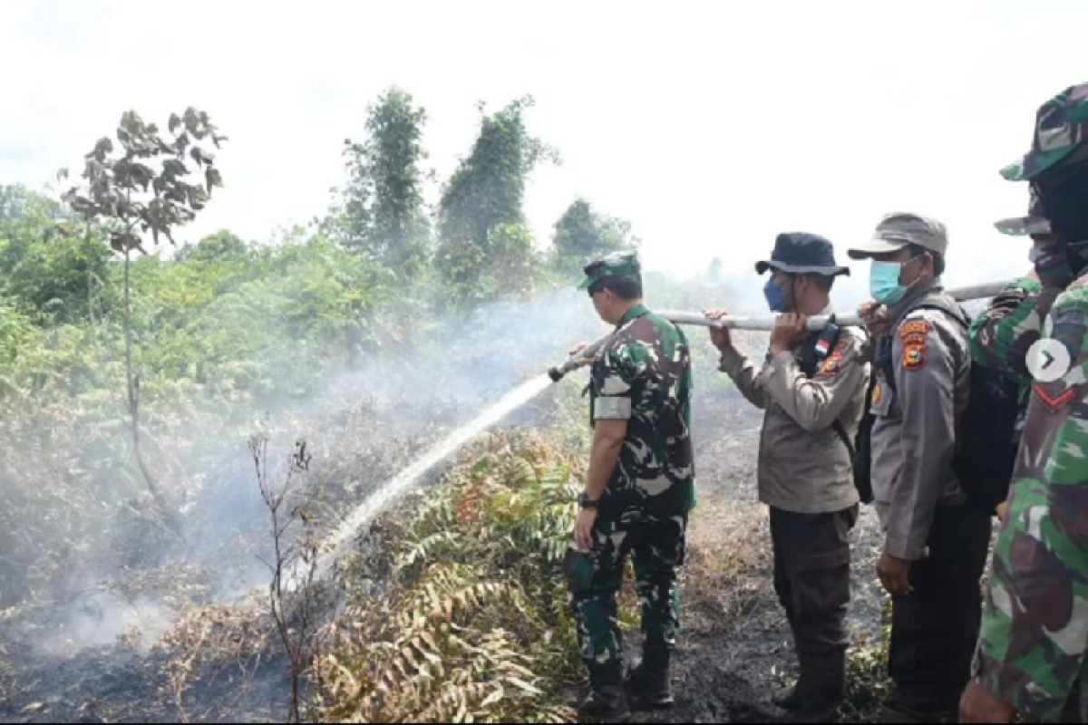 Danrem Wira Bima turun berjibaku padamkan karhutla di Rupat