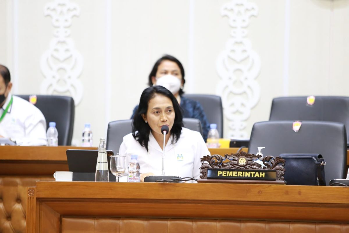 Menteri  PPPA Bintang: Perlu upaya cegah urbanisasi perempuan jadi PRT