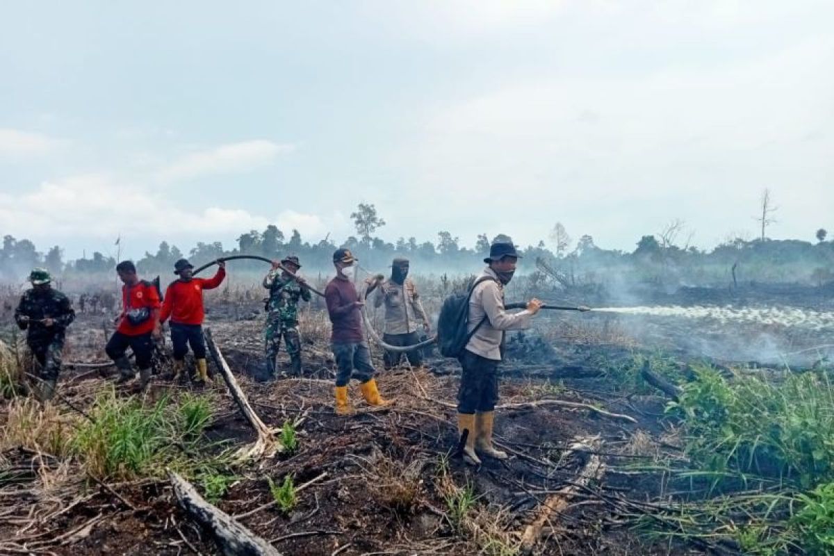 Lagi, Karhutla melanda di dua lokasi di Rokan Hilir