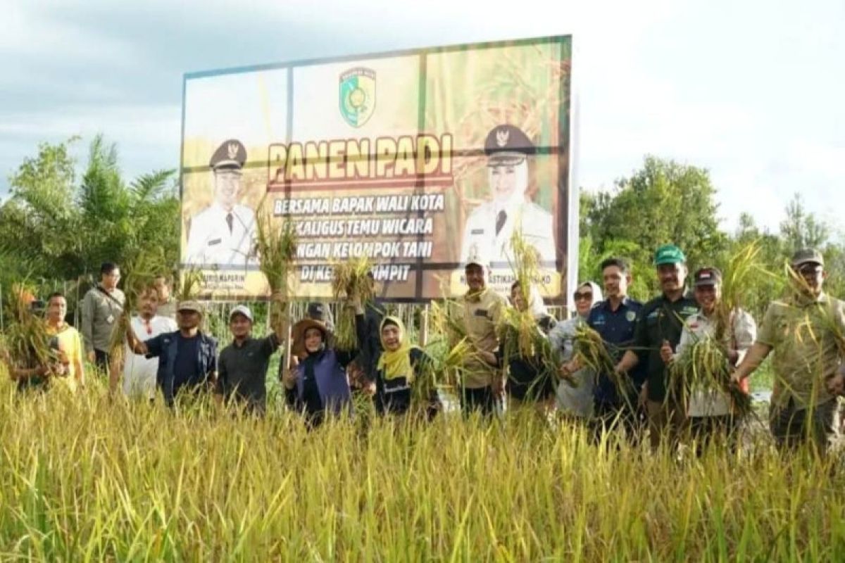 Palangka Raya kembangkan budi daya padi perkuat ketahanan pangan