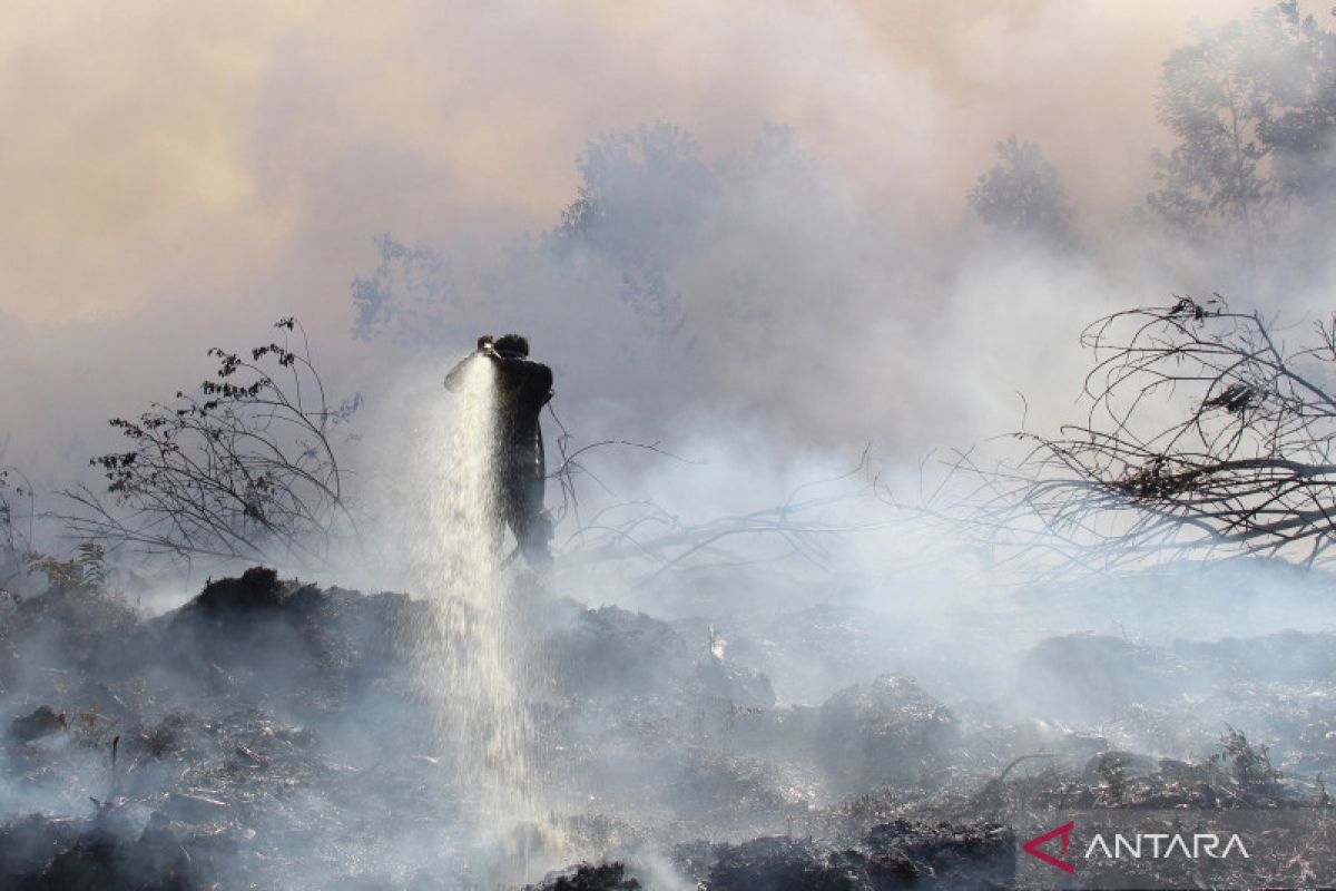 Angin kencang dan cuaca terik sulitkan pemadaman karhutla di Dumai-Bengkalis