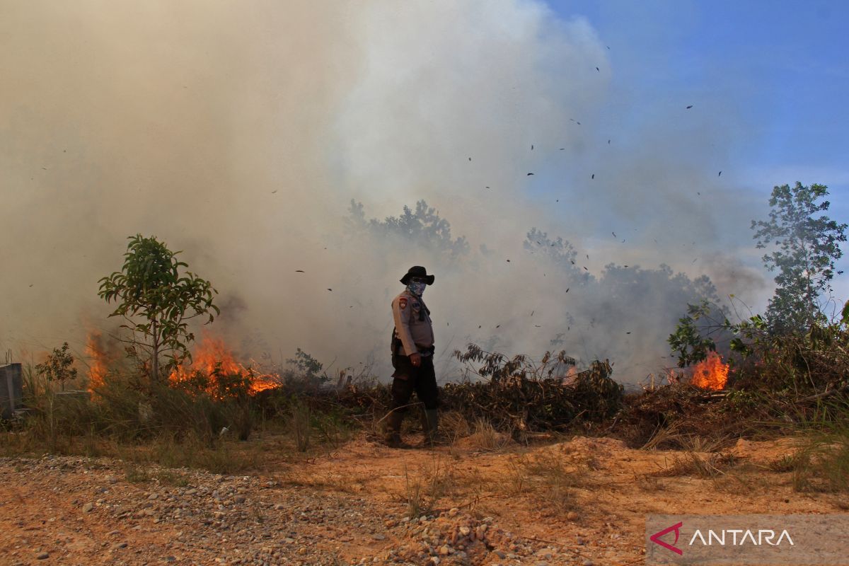 Polres Dumai ungkap empat kasus karhutla