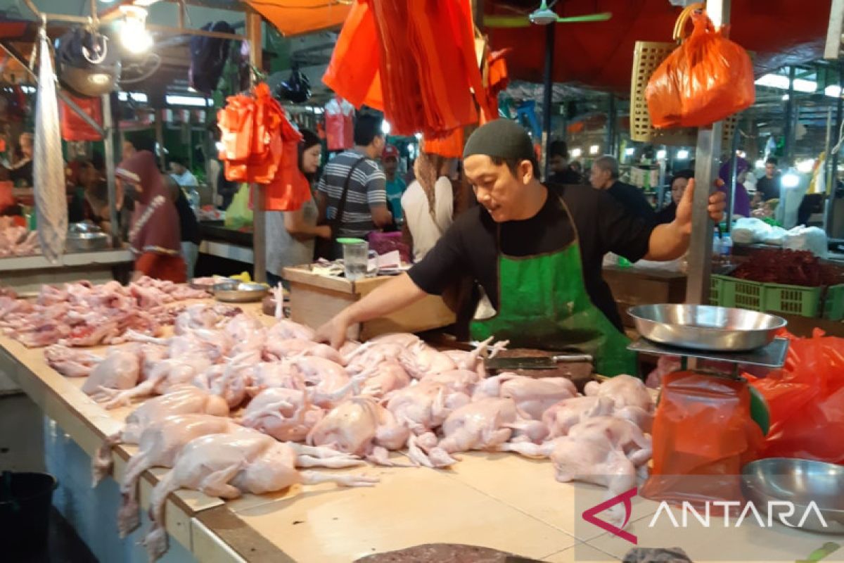 Ketersediaan daging ayam ras di Kalimantan Tengah surplus