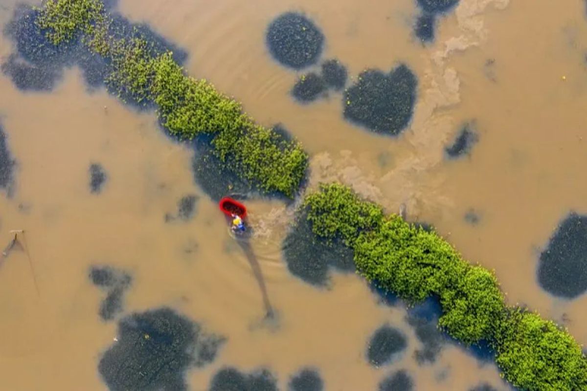 Banjir landa China barat daya, 30 orang hilang