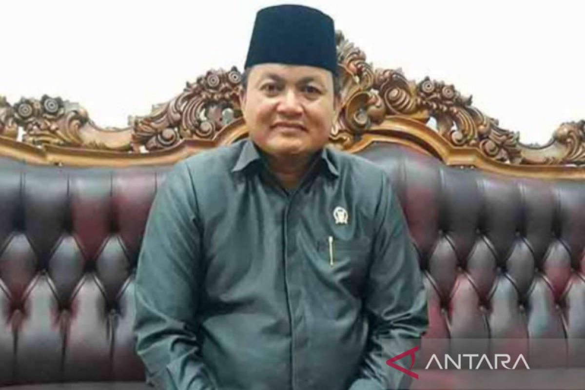 DPRD Kapuas imbau warga waspada hoaks di tahun politik