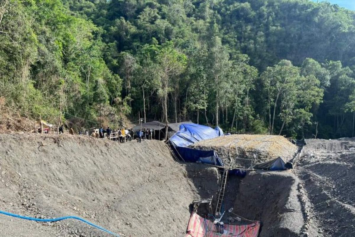 70 orang tewas akibat terowongan tambang emas ambruk di Mali