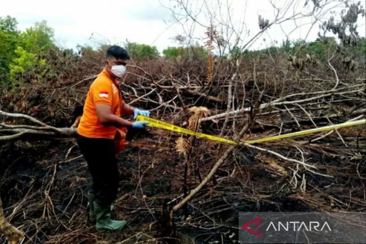 DLH optimalkan gerakan Pembukaan Lahan Tanpa Bakar di Palangka Raya