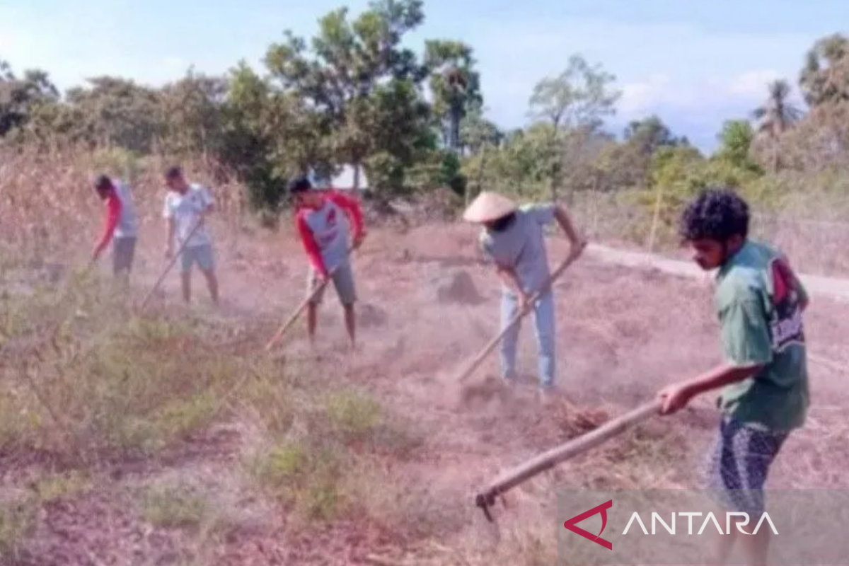 Pemkab Lembata imbau para petani pilih tanaman hemat air