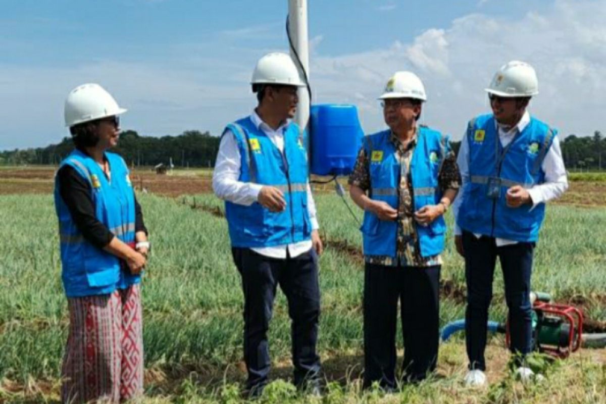 "Electrifying Agriculture" PLN beri petani efisiensi hingga 90 persen