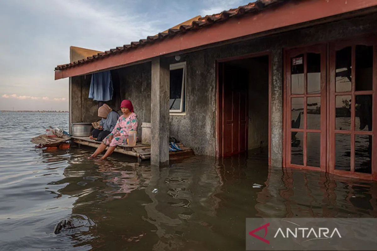 Ilustrasi banjir rob oleh BMKG