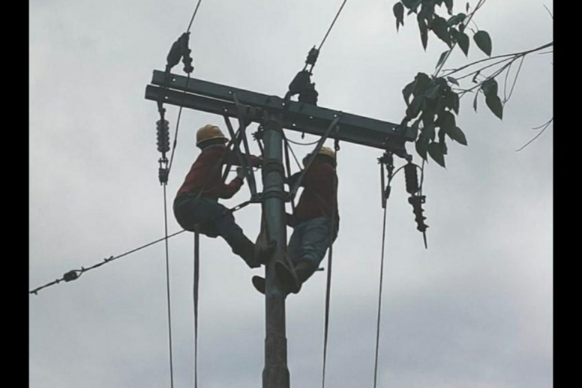 Respon cepat PLN antisipasi dan siaga hadapi bencana