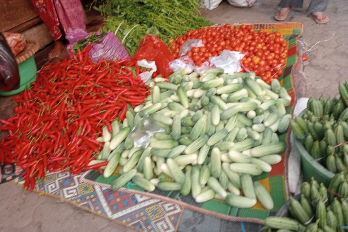 Harga cabai di Lombok Tengah naik menjadi Rp40 ribu per kilogram