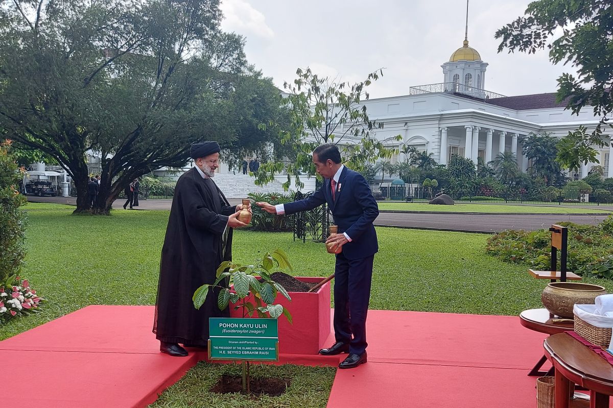 Presiden Jokowi menerima kunjungan kenegaraan Presiden Iran di Istana Bogor