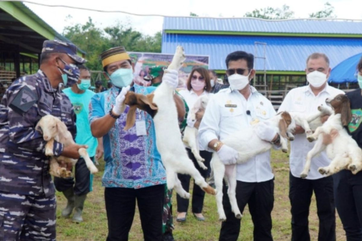 Kaltara antisipasi virus penyakit mulut dan kuku