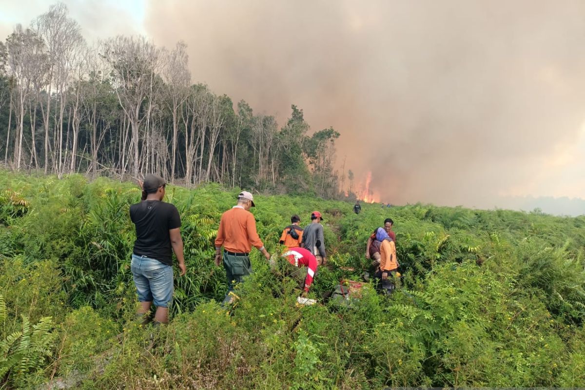 Meluas, kebakaran lahan sawit di Pesisir Selatan Sumbar