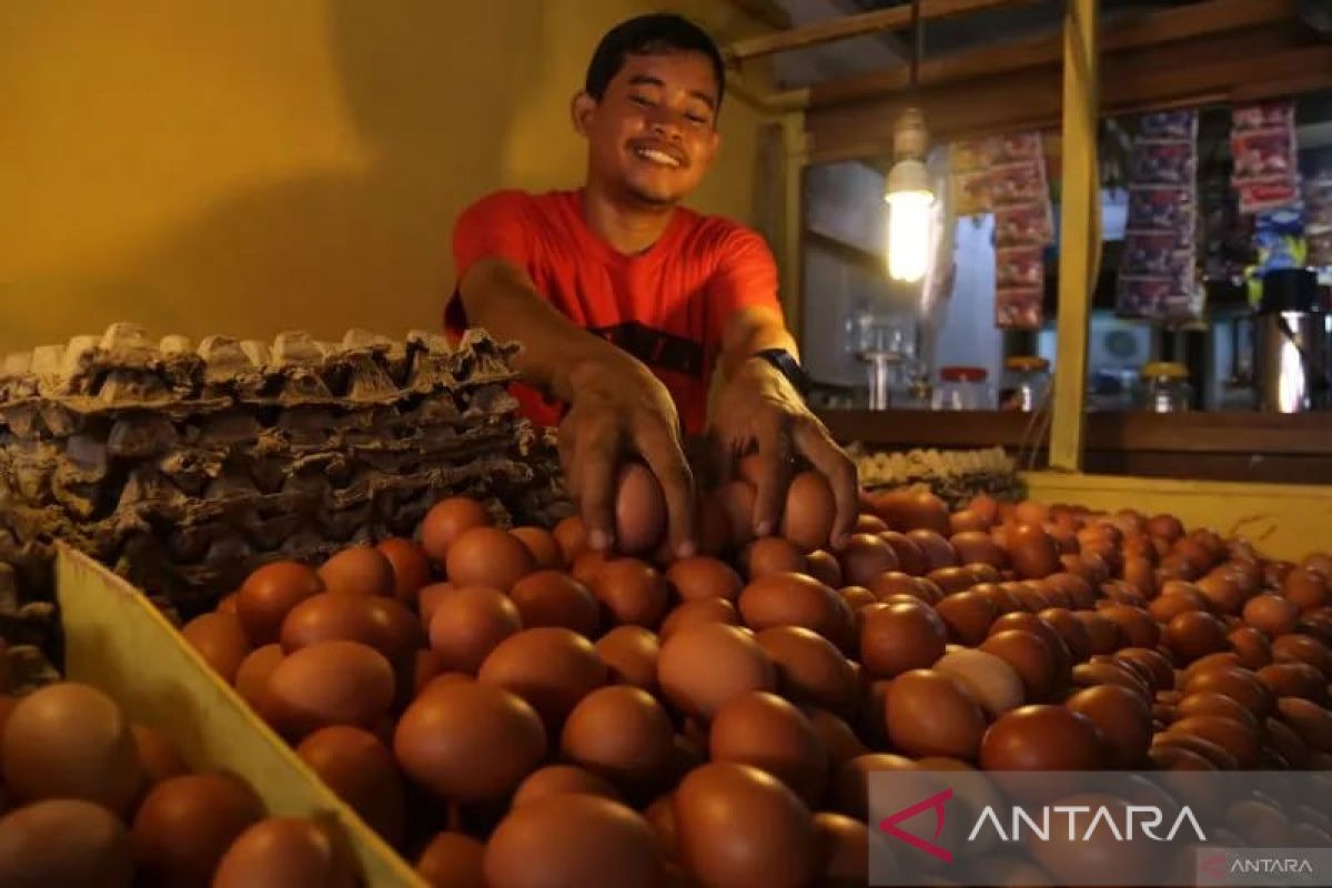 Harga telur naik di Pasar Raya Solok capai Rp2.300 per butir