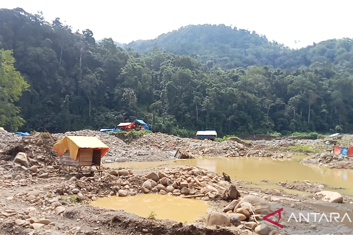 Penertiban tambang emas ilegal di Pasaman Barat butuh kesadaran dan komitmen bersama