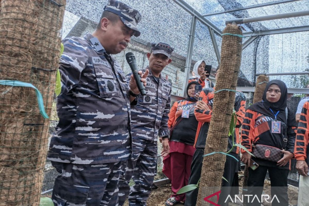 Pemkot Kendari berikan apresiasi TNI AL ajari warga pesisir budi daya vanili