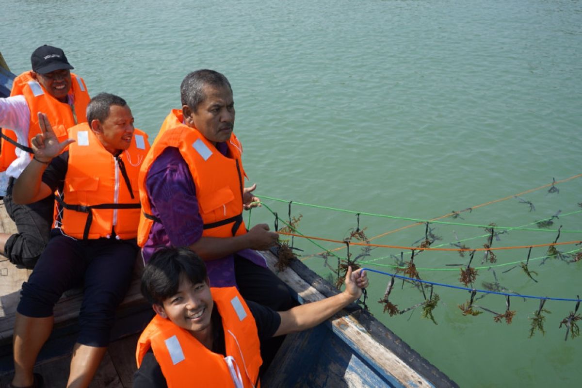 BBPBAP Jepara inisiasi budi daya rumput laut berbasis masyarakat