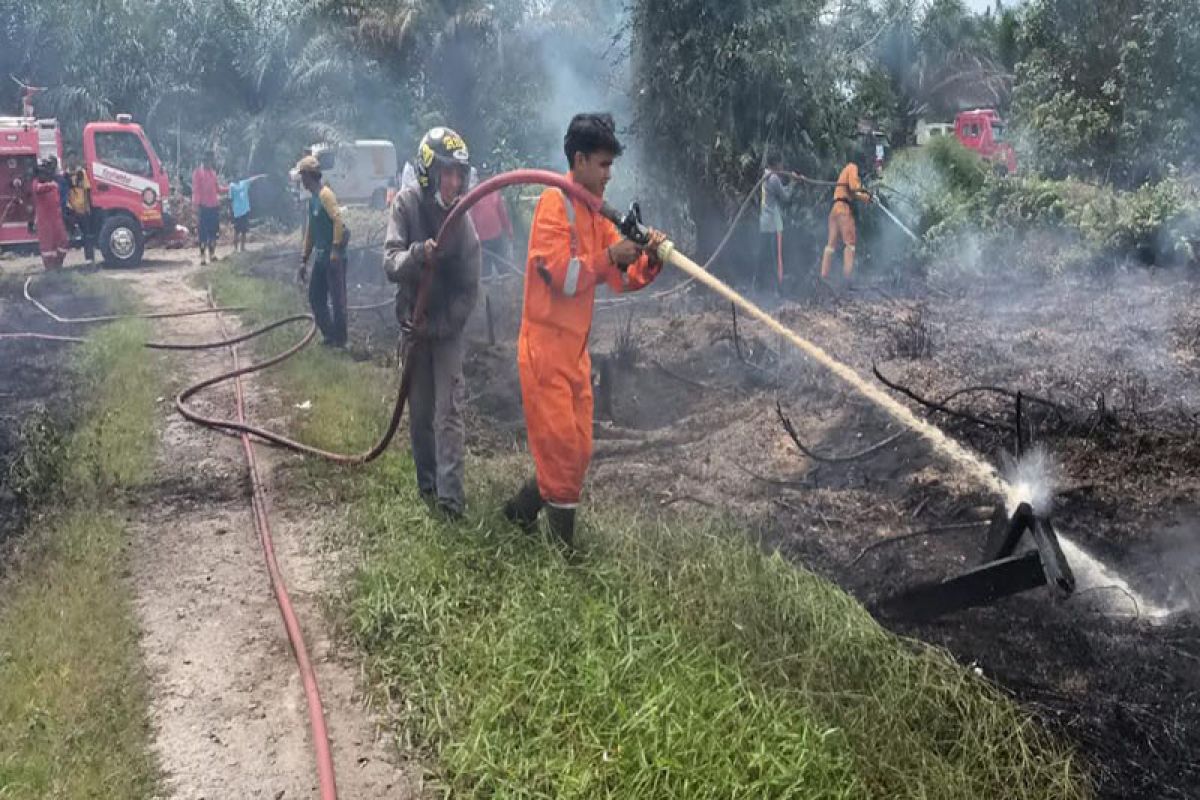 Tercatat 28 kasus karhutla terjadi di Kobar