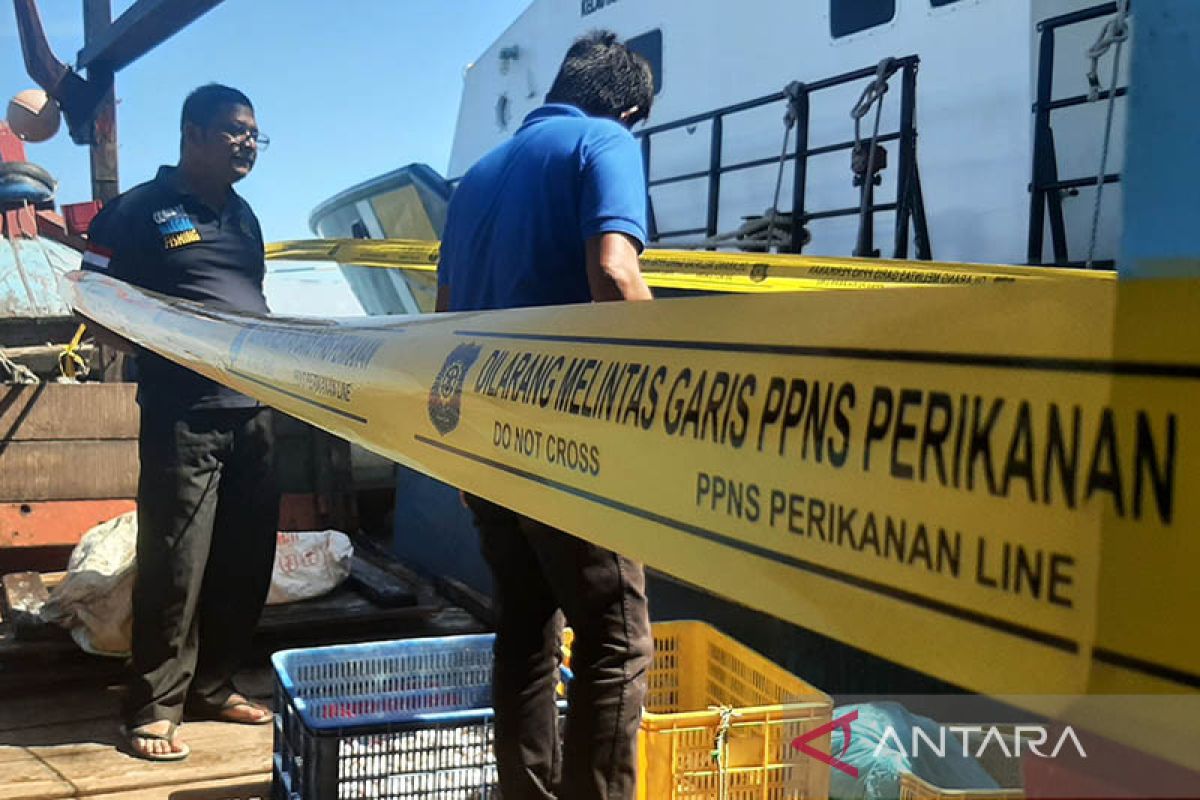 Dua nakhoda kapal nelayan jadi tersangka ikan ilegal di Aceh