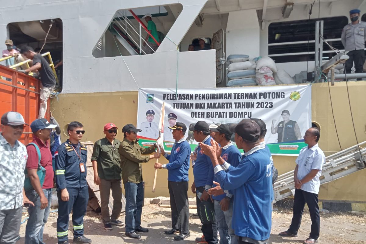 Tol laut permudah kirim sapi potong ke Jawa dari Dompu