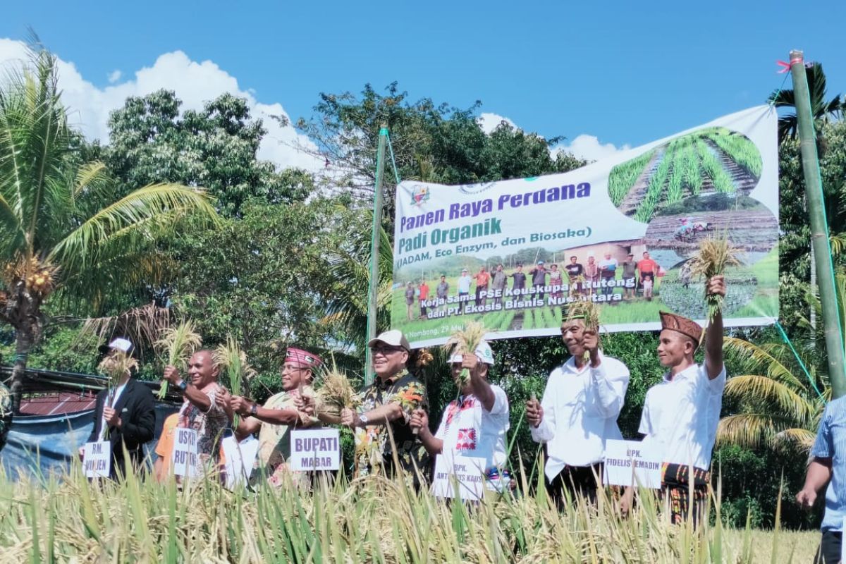 Manggarai Barat berkolaborasi dukung petani masuk industri pariwisata