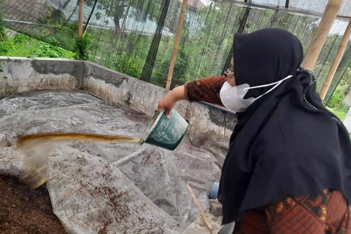 Kota Tegal mulai memanfaatkan pupuk organik berbahan limbah