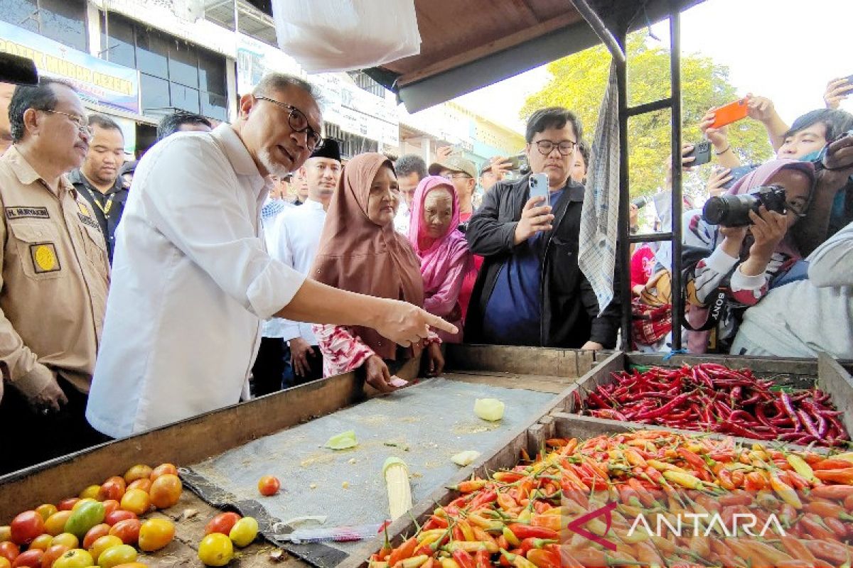 Kendalikan harga, Menteri Perdagangan minta pemda di Kalteng siapkan subsidi transportasi