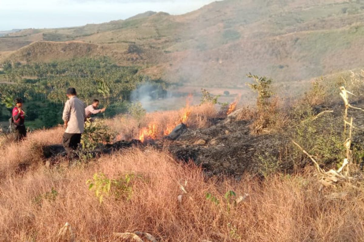 Lahan hutan di pegunungan So Wila terbakar