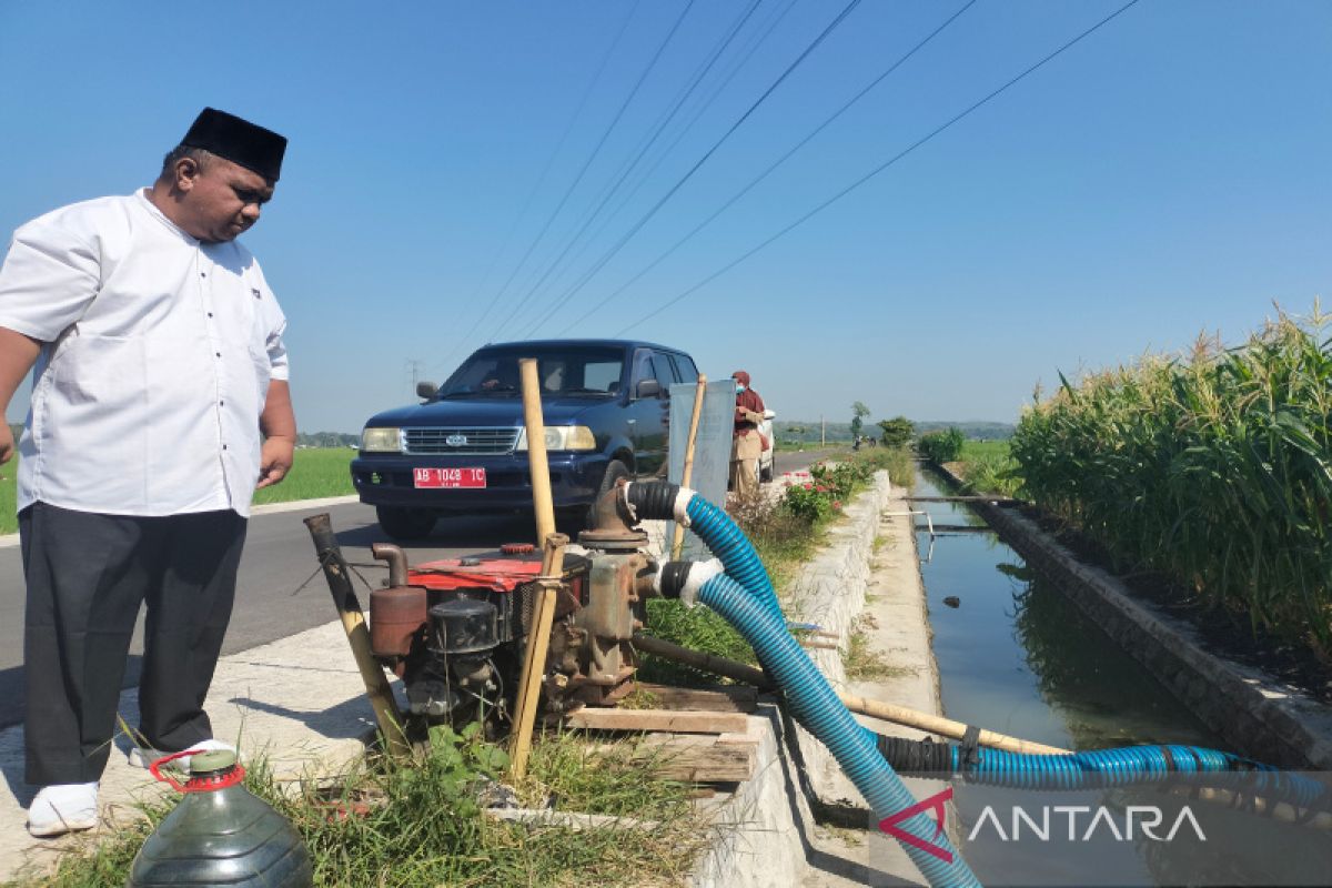 Kulon Progo tingkatkan konsumsi pangan lokal