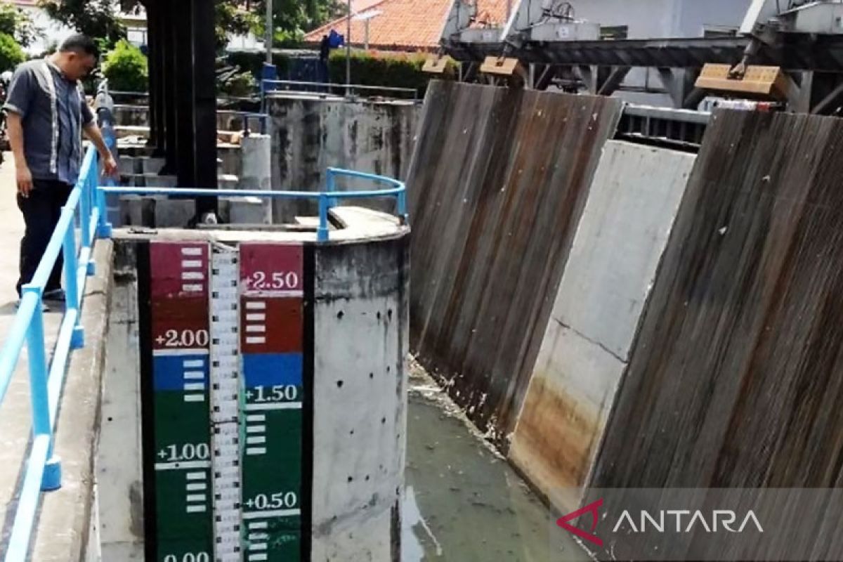 BPBD: Tinggi muka air di Pos Pantau Pintu Air Pasar Ikan Siaga II