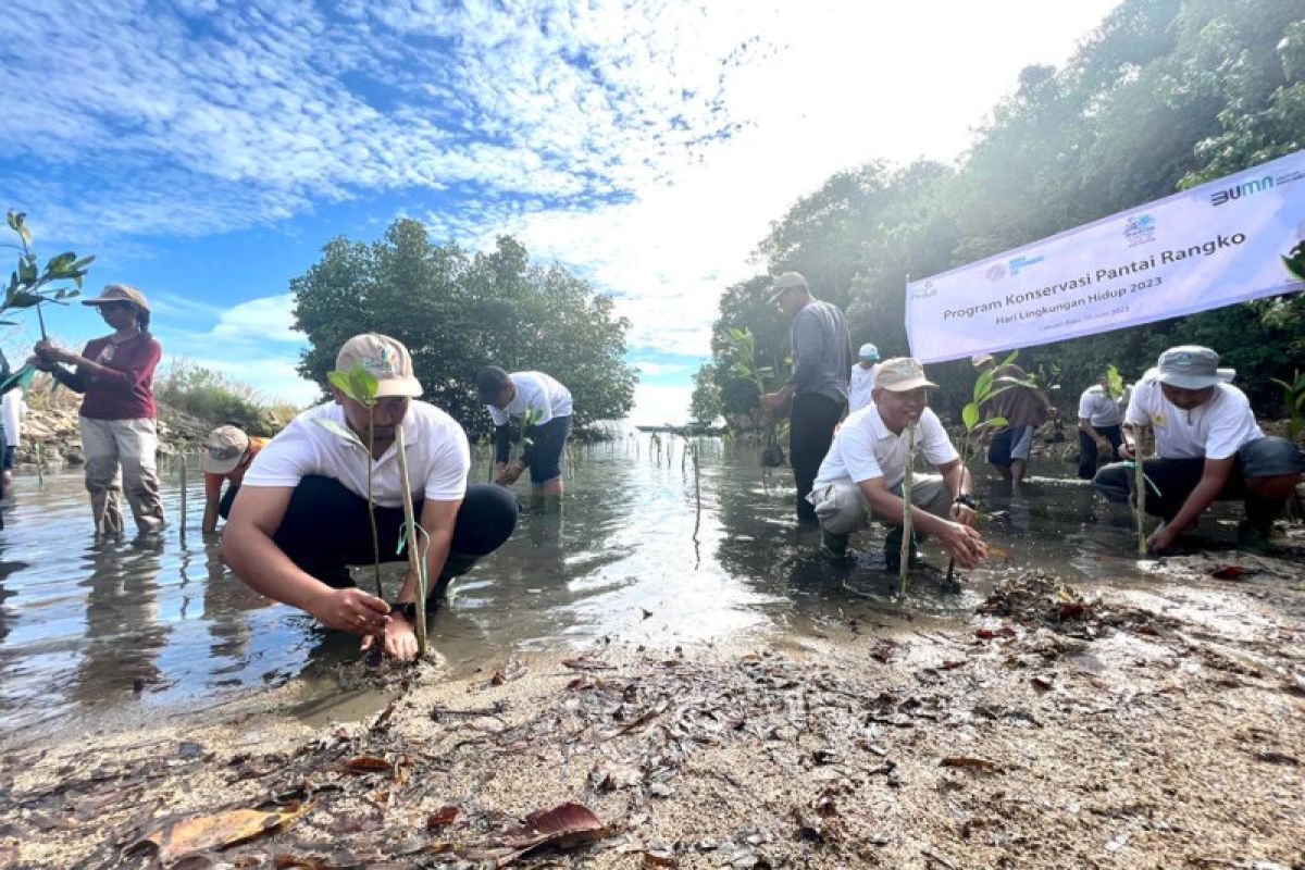 PLN NTT tanam 2.000 bibit bakau di empat wilayah pesisir