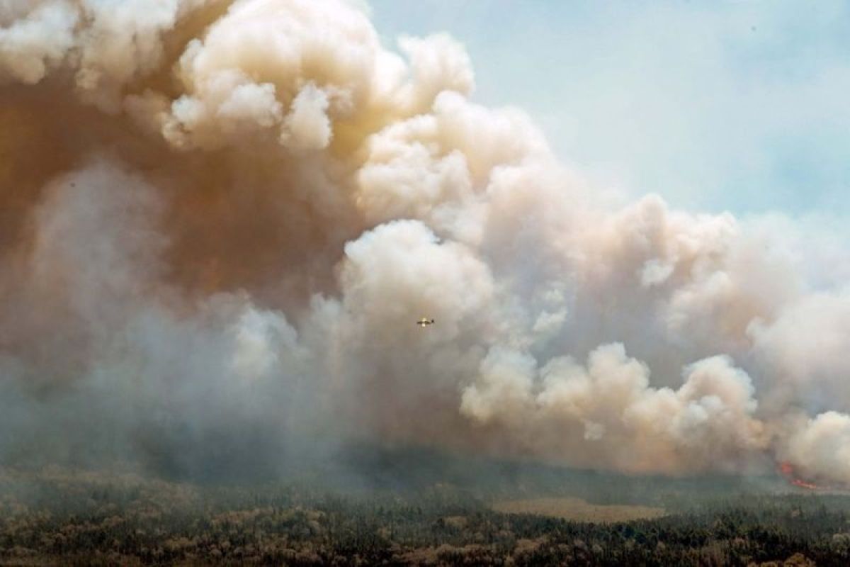 Makin meluas, Kanada laporkan 10 area kebakaran hutan baru