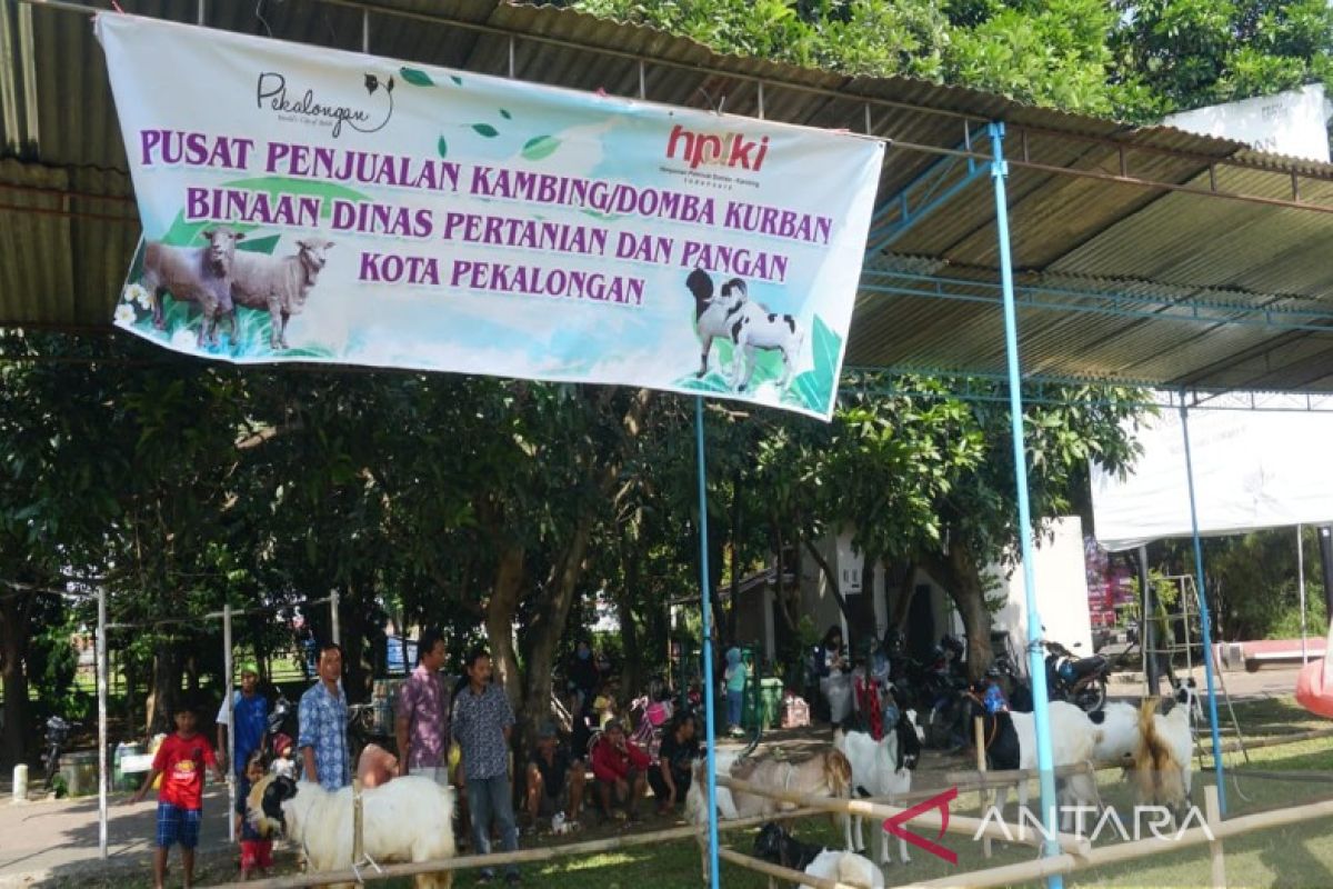 Pemkot Pekalongan-HPDKI gelar bazar hewan kurban