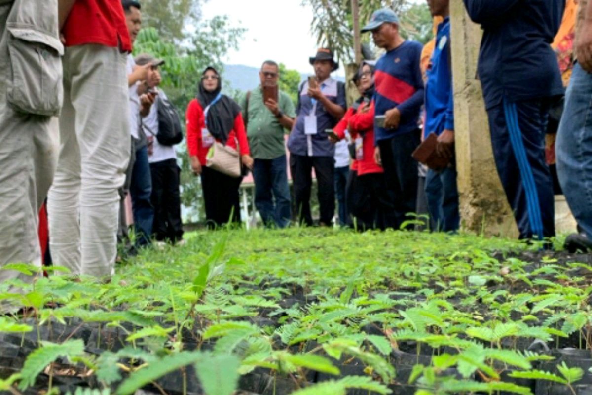 Tertarik dengan kaliandra dan ikan bilih, peserta Penas XVI kunjungi Semen Padang