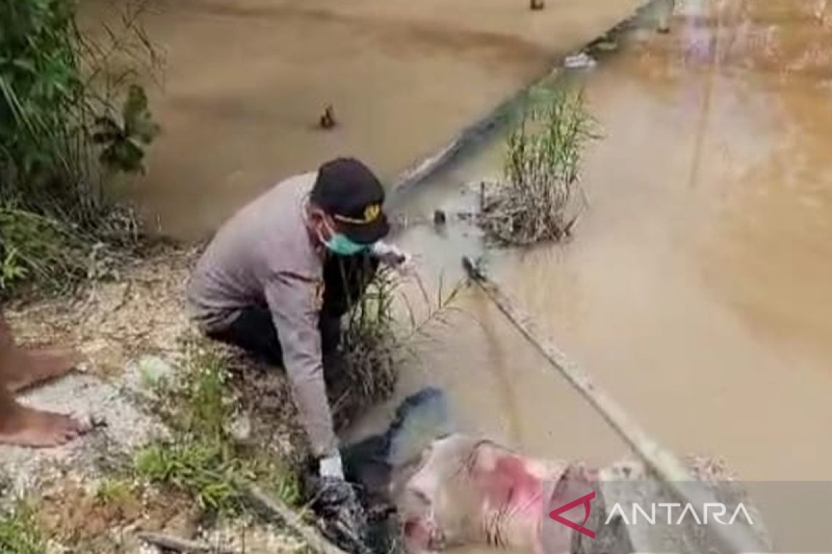 Sesosok mayat ditemukan tewas mengapung dengan tangan dan kaki terikat di Kapuas