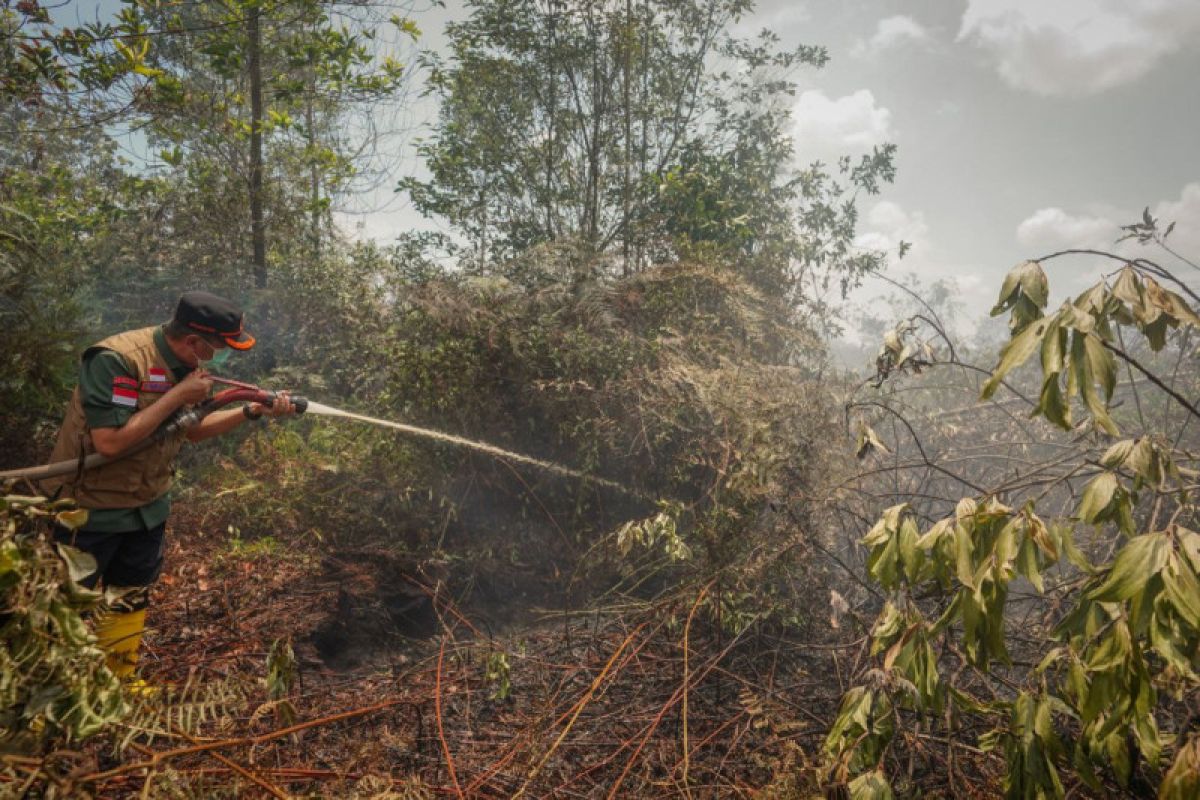 GALERI FOTO - Aksi Syamsuar ikut padamkan karhutla di Dumai