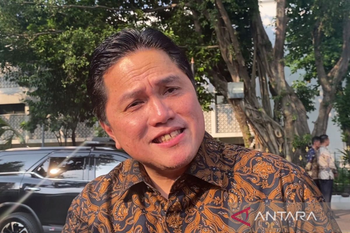 Pengamat politik: Erick Thohir kandidat cawapres paling kompeten