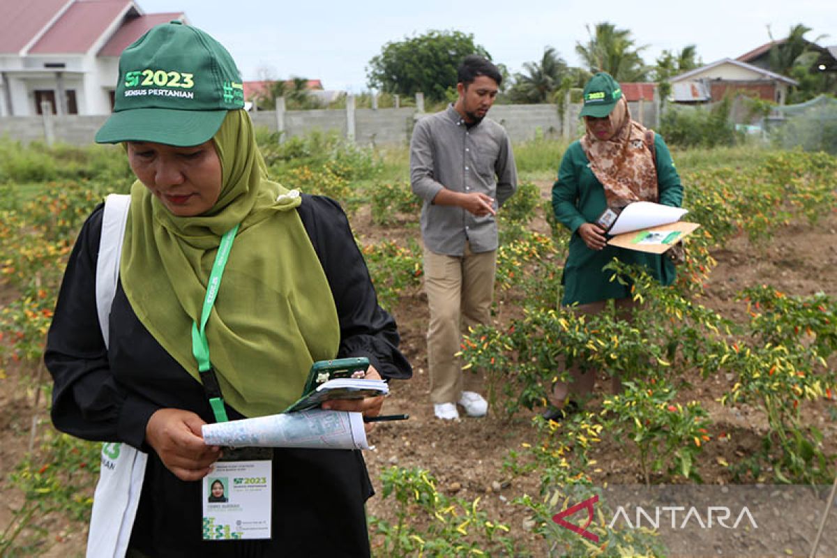 Sensus Pertanian 2023 dan manfaatnya