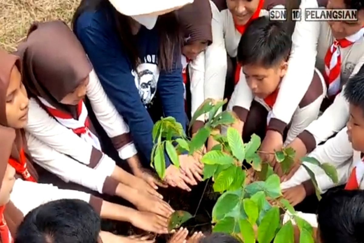 Kolaborasi edukasi penyelamatan lingkungan bagi pelajar Kotim diapresiasi