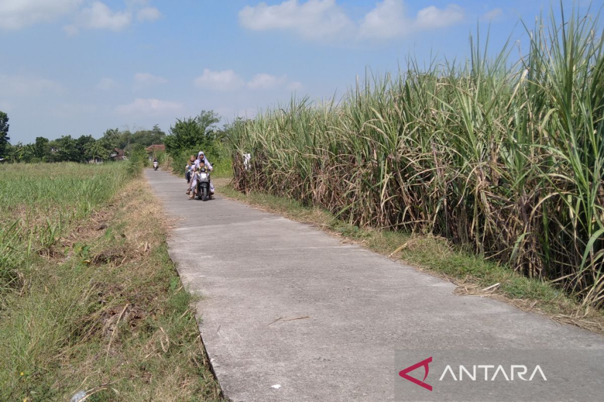 KPPN: Penyaluran dana desa di tiga kabupaten c apai Rp220,92 miliar