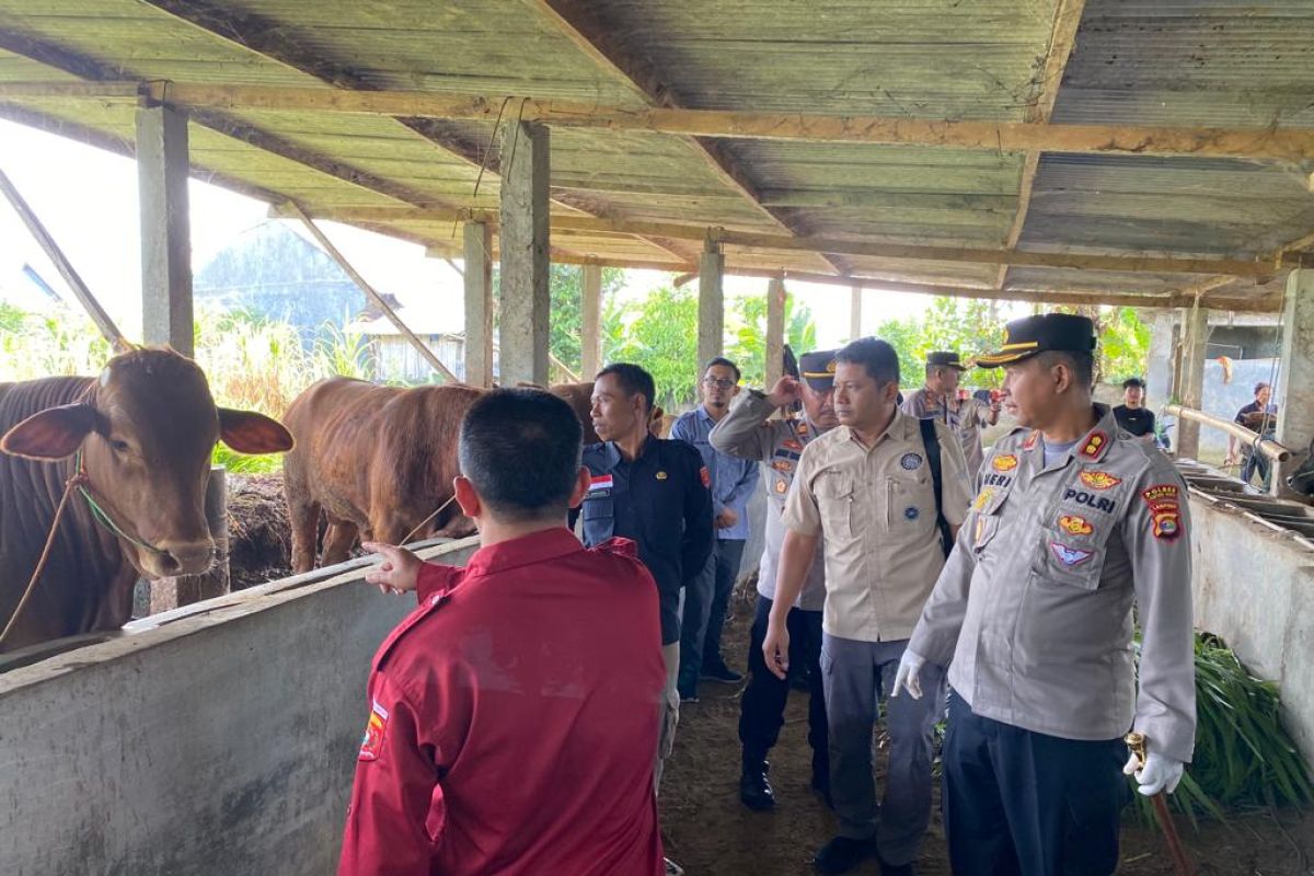 Polres dan dinas sidak kandang ternak jelang Idul Adha di Lampung Barat