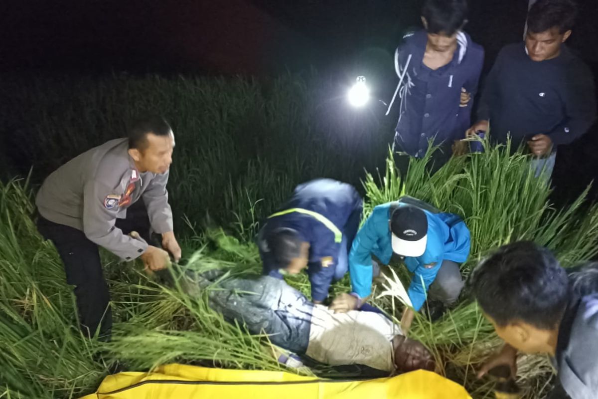 Jasad petani di Railia Agam ditemukan meninggal di sawah