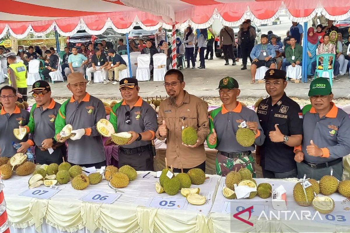 Bupati Sukamara ingin penyelenggaraan festival durian menjadi agenda tahunan