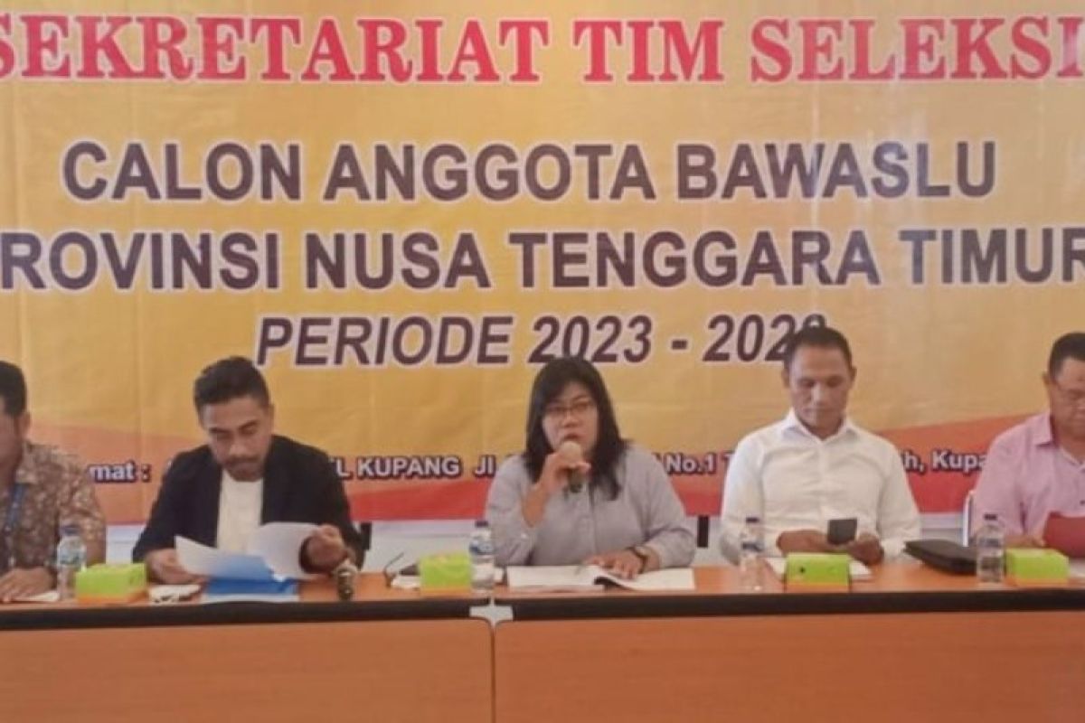 Tim seleksi  tetapkan empat calon anggota Bawaslu NTT